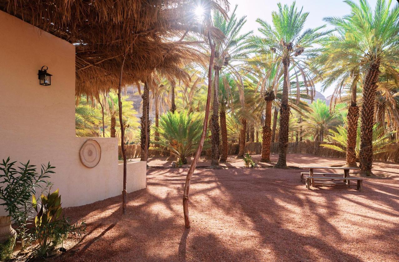 Hotel Under Las Palms Alula Madain Saleh Exteriér fotografie